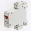 MITSUBISHI PROTECTOR CP30-BA-2P-1M-5A