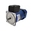 JSCC GEAR MOTOR 100YS200GY38